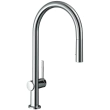 Talis N 1.5 GPM Single Hole Pull Down Kitchen Faucet