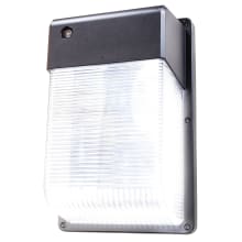 Single Light 10" Tall LED Outdoor Wall Sconce