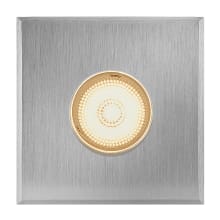 Dot Square 12v 4.8VA 4w 2-1/4" Wide Sparta Stainless Steel LED Button Light