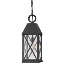 Briar 1 Light 8" Wide Outdoor Pendant