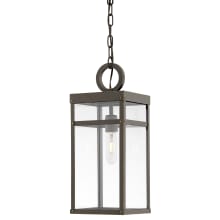 Porter 1 Light 8" Wide Lisa McDennon Open Air Outdoor Pendant with LED Bulb Included