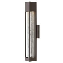 Vapor 1 Light 21" Tall LED Outdoor Wall Sconce with Crackle Glass