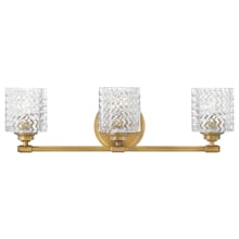 Elle 3 Light 24" Wide Bathroom Vanity Light with Clear Chevron Glass Shades