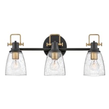 Easton 3 Light 24" Wide Vanity Light with Seedy Glass Shades