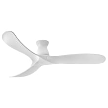 Swell Flush 60" 3 Blade Smart Outdoor Ceiling Fan with HIRO Control