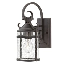 Casa Single Light 13" High Outdoor Wall Sconce with Seedy Glass Shade