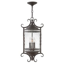 Casa 3 Light 12" Wide Wrought Iron Outdoor Pendant with Seedy Glass Shade