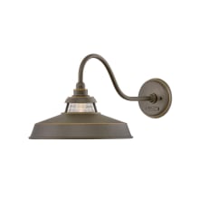 Troyer Single Light 12" Tall Outdoor Wall Sconce