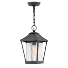 Palmer Single Light 8" Wide Outdoor Mini Pendant with a Seedy Glass Shade