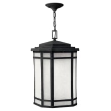 1 Light Outdoor Lantern Pendant from the Cherry Creek Collection