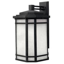 20.5" Height 1 Light Lantern Outdoor Wall Sconce from the Cherry Creek Collection