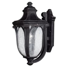 17.5" Height 1 Light Lantern Outdoor Wall Sconce from the Trafalgar Collection