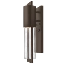 Shelter Single Light 15-1/2" Tall Outdoor Wall Sconce with Seedy Glass and LED Bulb Included