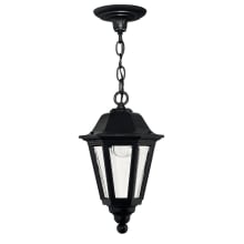1 Light Outdoor Lantern Pendant from the Manor House Collection