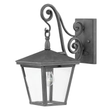 Trellis Single Light 15-1/4" High Outdoor Wall Sconce