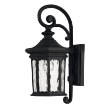 Raley 1 Light 16-1/2" Tall Lantern Outdoor Wall Sconce with Clear Water Glass