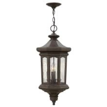 Raley 4 Light 7-1/4" Wide Full Sized Outdoor Pendant with Clear Seedy Glass