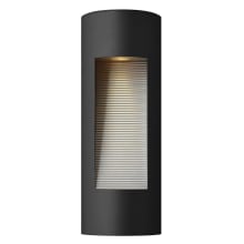16.75" Height 2 Light ADA Compliant Dark Sky Outdoor Wall Sconce from the Luna Collection