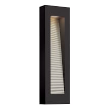 2 Light LED ADA Compliant Dark Sky Outdoor Wall Sconce from the Luna Collection