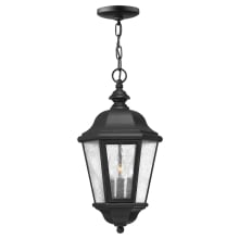Edgewater 3 Light 10" Wide Outdoor Pendant with LED Bulbs Included