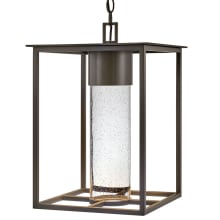 Coen 1 Light 12" Wide Coastal Elements Outdoor Pendant with LED Bulb Included