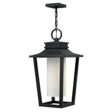 Sullivan Single Light 11-3/4" Wide Outdoor Pendant with Etched Opal Glass Shade