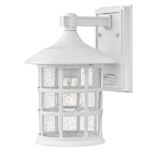 Freeport 1 Light 12.25" Tall Outdoor Wall Sconce with Etched Seedy Glass