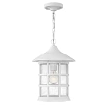 Freeport 10" Wide Coastal Elements Outdoor Pendant with Seedy Glass Shade