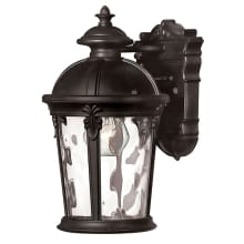 12.5" Height 1 Light Lantern Outdoor Wall Sconce in Black from the Windsor Collection