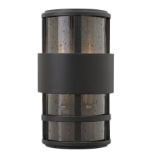 2 Light 12.5" Height ADA Compliant Outdoor Ambient Wall Sconce from the Saturn Collection