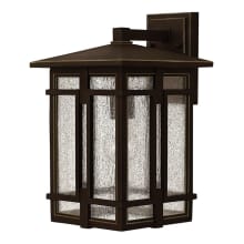Tucker 1 Light 14" Tall Lantern Wall Sconce with Clear Seedy Glass Shades