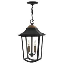 2 Light Outdoor Small Pendant from the Burton Collection