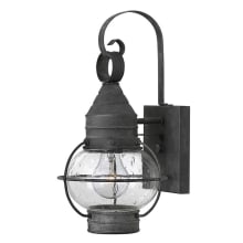 Cape Cod 14" Tall Outdoor Wall Sconce with Seedy Glass Shade