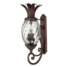 34" Height 4 Light Outdoor Wall Sconce from the Plantation Collection