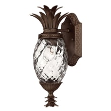 15" Height 1 Light Outdoor Wall Sconce from the Plantation Collection