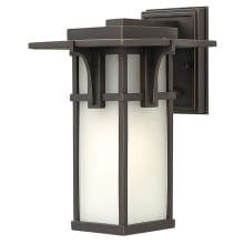 1 Light 11.75" Tall Outdoor Lantern Wall Sconce with Etched Seedy Shade from the Manhattan Collection