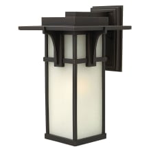 1 Light 18.5" Tall Outdoor Wall Sconce with Etched Seedy Shade from the Manhattan Collection