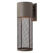 Aria Single Light 21-3/4" Tall Outdoor Wall Sconce