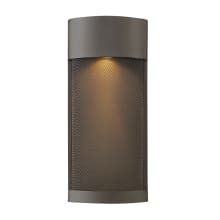 Aria Single Light 17-1/4" Tall Outdoor Wall Sconce with LED Bulb Included