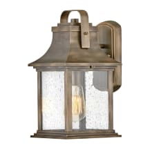 14" Tall Outdoor Wall Sconce with Seedy Glass