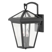 Alford Place 2 Light 14" Tall Open Air Outdoor Wall Sconce