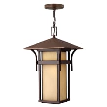 Harbor 1 Light 19" Tall Outdoor Pendant with Etched Amber Seedy Glass