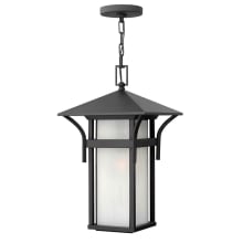 Harbor 1 Light 19" Tall Outdoor Pendant with Etched Seedy Bound Glass