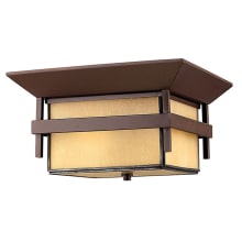 2 Light 12.25" Width Outdoor Flush Mount Ceiling Fixture from the Harbor Collection