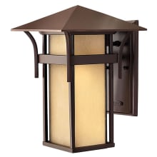 13.5" Height 1 Light Lantern Outdoor Wall Sconce in Anchor Bronze from the Harbor Collection