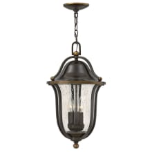 3 Light Full Sized Outdoor Pendant from the Bolla Collection