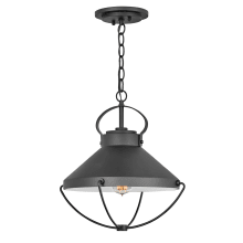 Crew 15" Wide Outdoor Single Pendant with Wire Guard