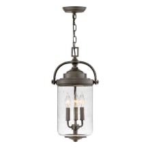 Willoughby 3 Light 10" Wide Coastal Elements Outdoor Pendant