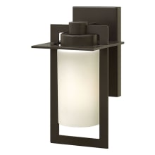 12.25" Height 1 Light Outdoor Wall Sconce from the Colfax Collection