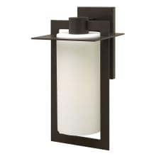 19.25" Height 1 Light Outdoor Wall Sconce from the Colfax Collection